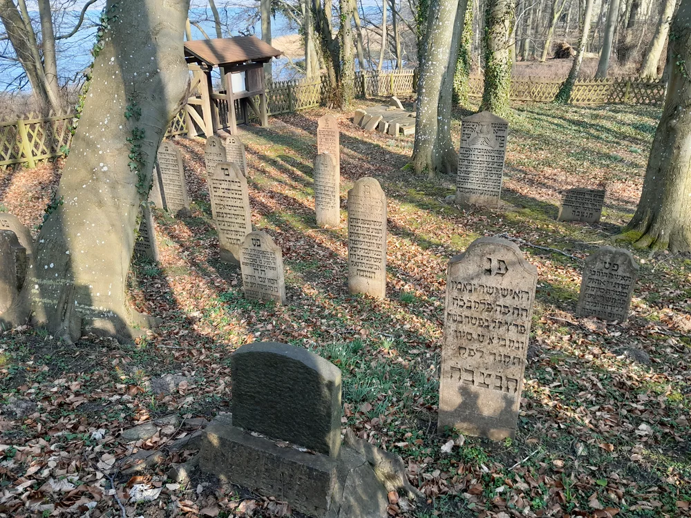 Der Friedhof von Niederhof: Der älteste jüdische Friedhof in Vorpommern als Spiegel jüdischen Lebens