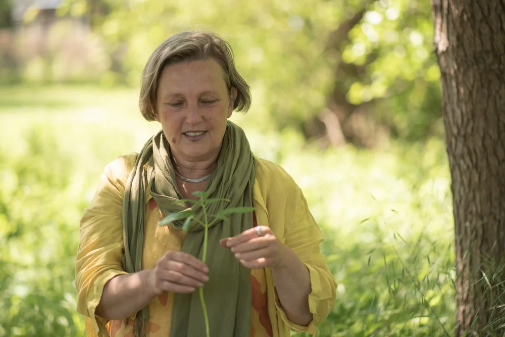Heilpflanzengeflüster - Beratung zur Selbstheilung