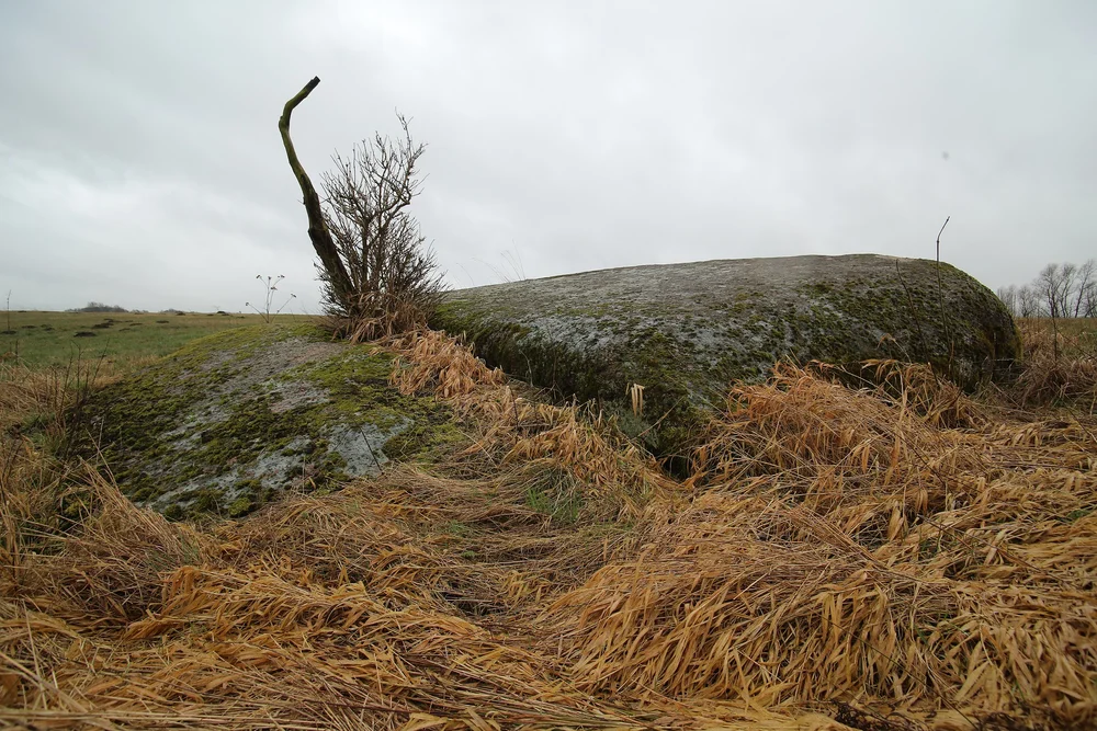 Photo of Neu Dargelin