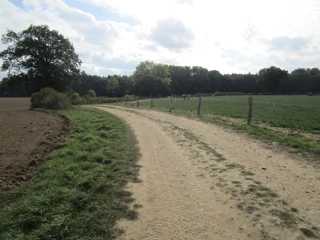 Photo of Wüstenfelde