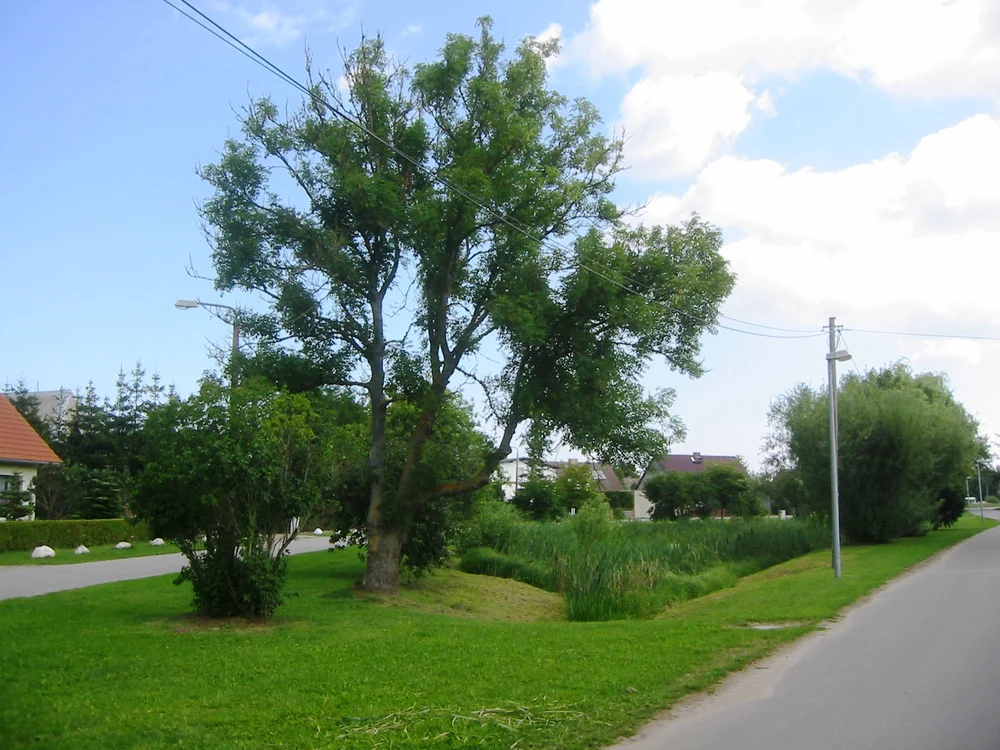 Photo of Wusterhusen